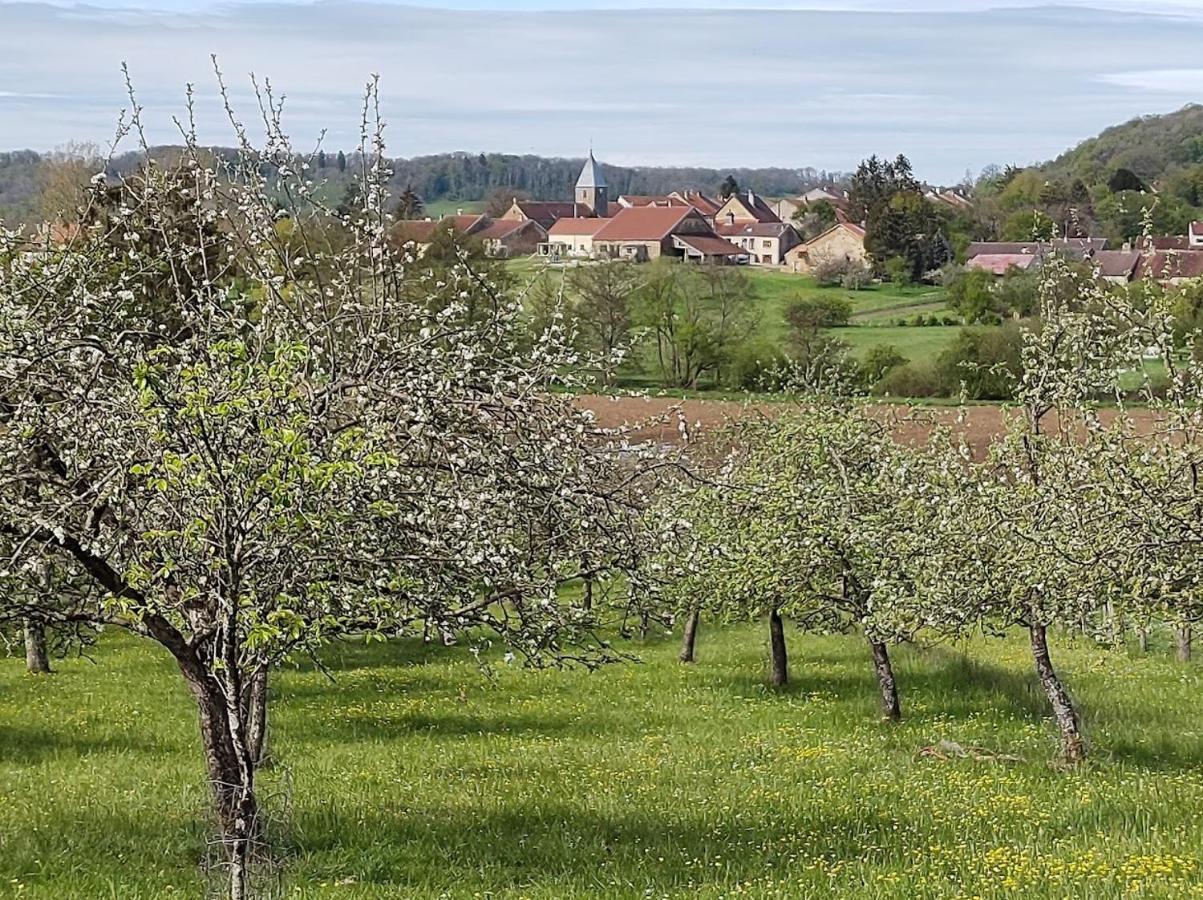 Chateau D'Impasse Laferte-sur-Amance ภายนอก รูปภาพ
